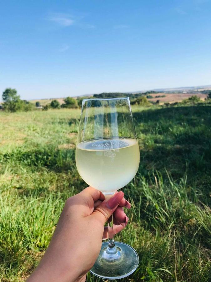 Apartmany Vinarstvi Klucov Lstibor Εξωτερικό φωτογραφία